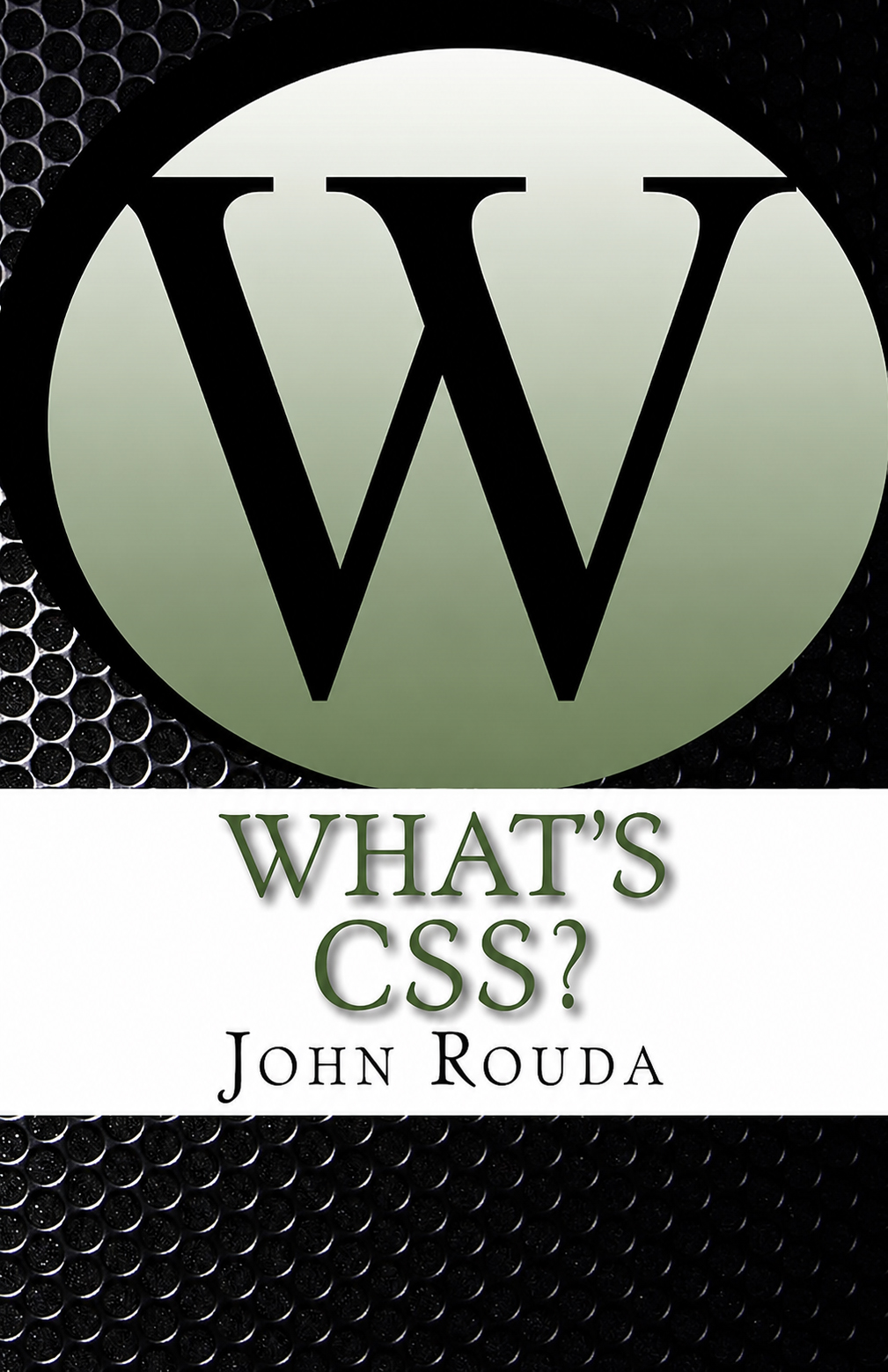 What's CSS? book cover